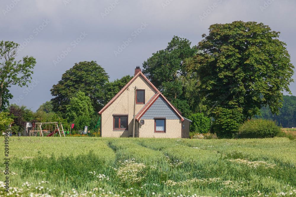 Obraz premium Wohngebäude, altes Einfamilienhaus an einem Feld, Imsum, Niedersachsen, Deutschland