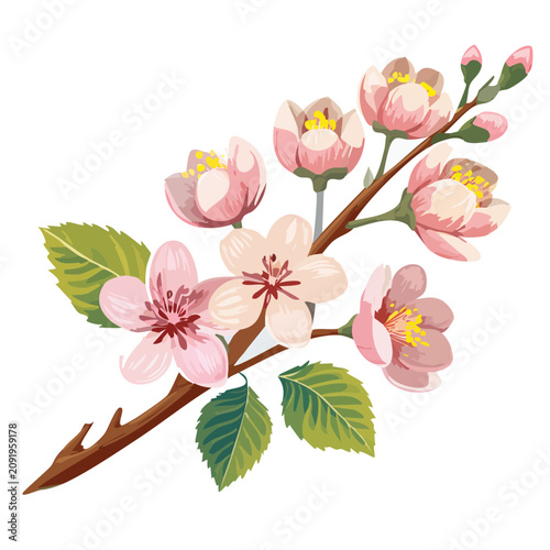 Cherry blossom branch with flowers and leaves vector illustration
