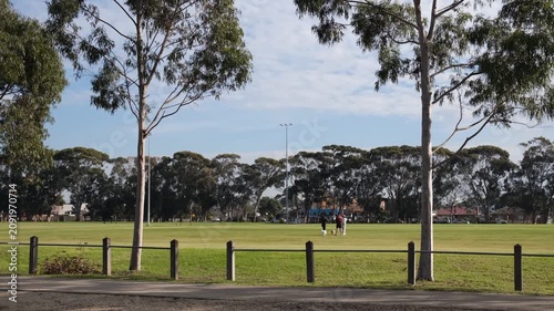People chat and walk dogs on an open sports oval framed by gum trees in suburban Melbourne Australia. Concept of community recreation, local parks, and everyday outdoor life in Australian suburbs