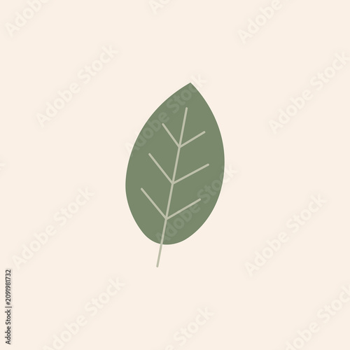 Minimalist Botanical Leaf Scandinavian Boho Nursery  Illustration