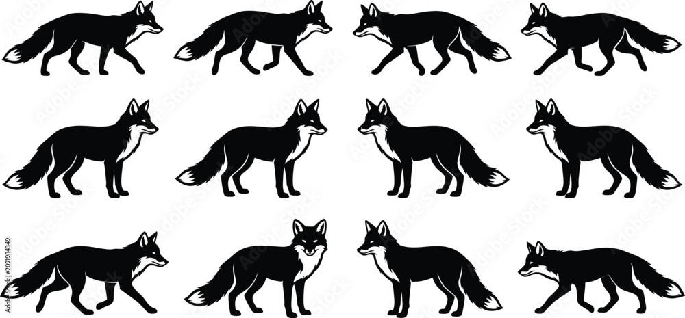 Obraz premium Black fox silhouettes, walking fox icons, wildlife graphics, vector illustrations, animal designs