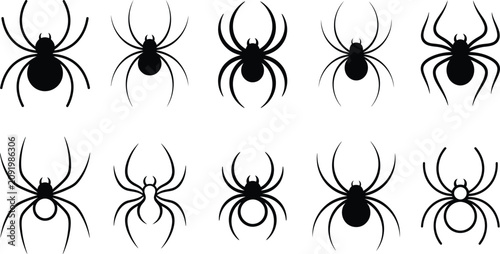 Cuadro en lienzo Spider collection black widow orb weaver and tarantula silhouettes