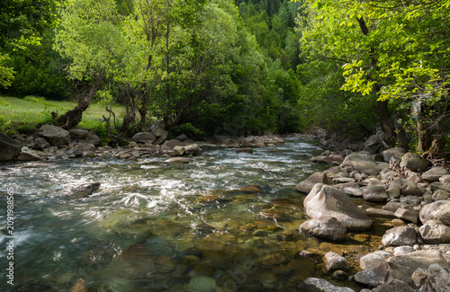 A clean stream flows through the trees. It's springtime.