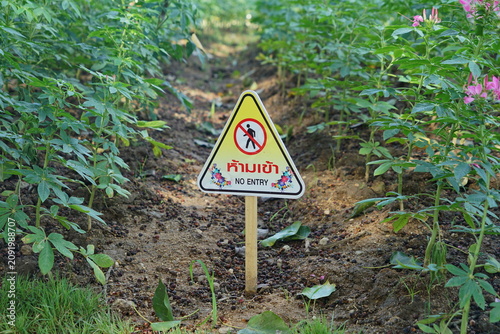 No entry sign in green garden with flowering plants on soil bed