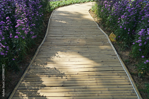 Bamboo pathway winding through purple flowering garden in natural light