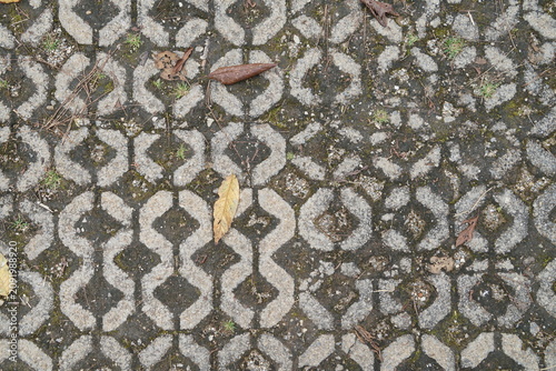 Worn patterned concrete pavement with scattered dry leaves outdoors