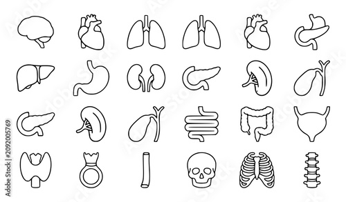 Foto Human Anatomy Organ Icons Set with Brain Heart Liver Lungs Bones and Digestive S