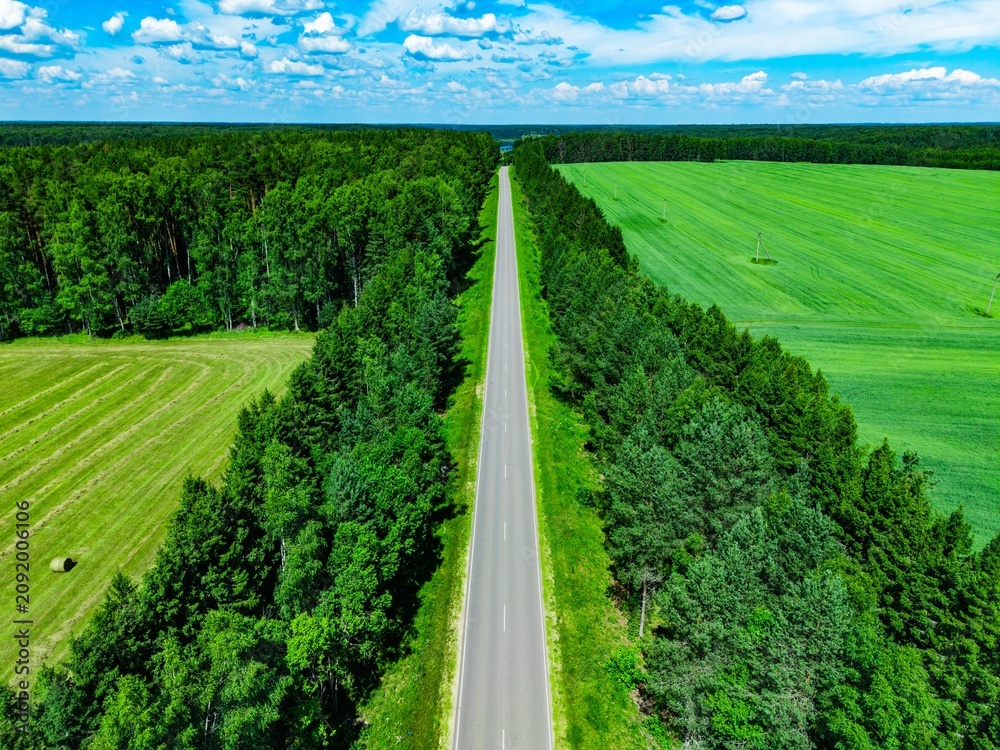 Naklejka premium Asphalt road bisecting lush green fields and dense forest under a bright blue sky