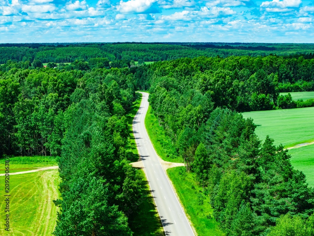 Naklejka premium Curved highway cutting through green forest landscape on a sunny day with blue sky