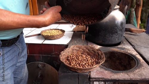 Farmer pouring roasted coffee beans into a basket
