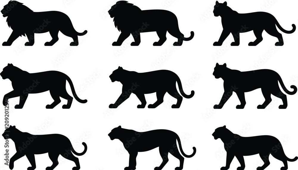 Obraz premium Nine black silhouette lion graphics wildlife predator collection
