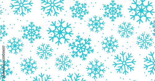 Winter snowflakes vector 