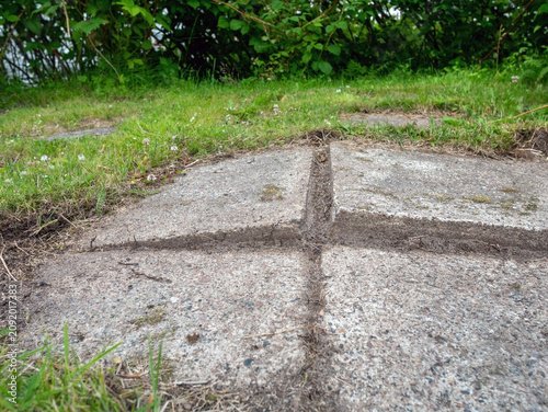 Close-Up of Uneven and Lifted Concrete Paving Slabs