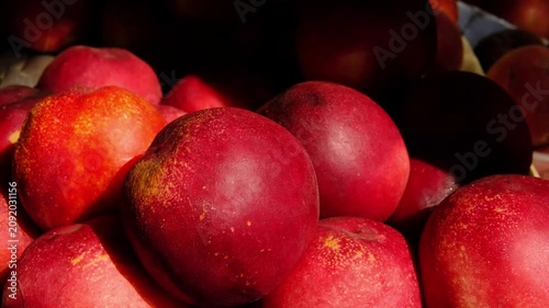 Fresh ripe nectarines displayed at local farmers market in summer, sweet organic stone fruit on market stand, healthy seasonal produce ready for sale and everyday nutrition