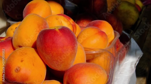 Fresh ripe apricots in plastic containers at local farmers market on sunny summer day, seasonal organic fruit for healthy eating, natural harvest and fresh produce display