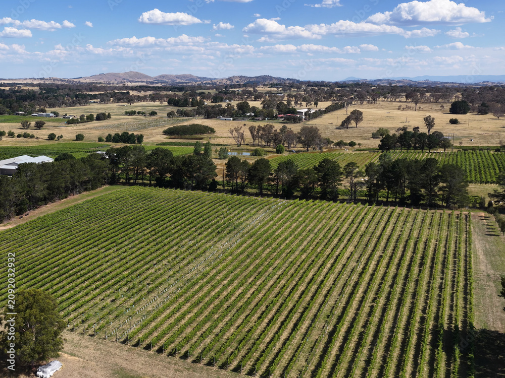 Obraz premium Aerial View of Lush Green Vineyards and Rural Landscape in Canberra