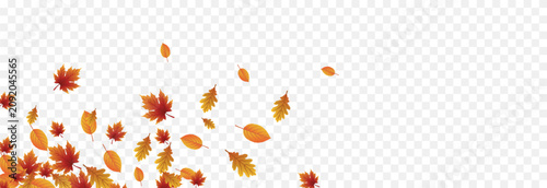 Fotografie Autumn falling leaves PNG