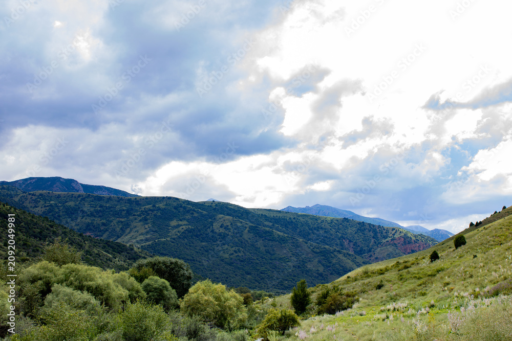 Fototapeta premium Green forested mountain valley with low clouds hanging over the peaks in summer. Moody, misty highland landscape of wild slopes and dramatic mountain weather.
