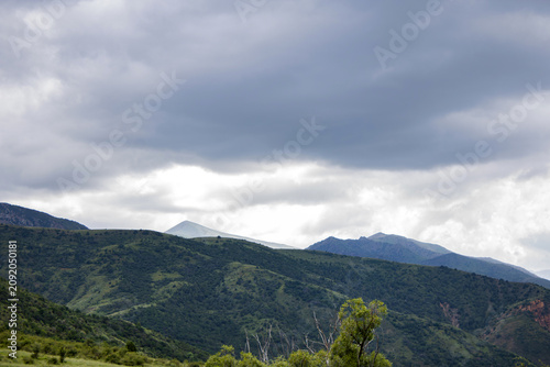Принти на полотні Green forested mountain range rolling toward distant peaks under a dramatic cloudy sky