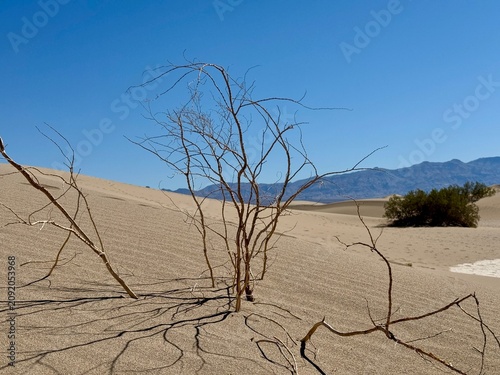 Death Valley Sand Dunes, California, USA