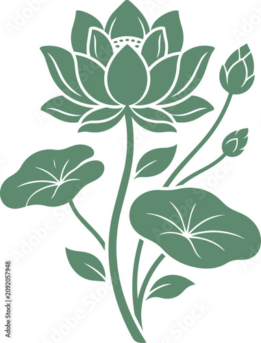 Green lotus flower and buds on transparent background with grid