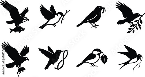 Bild auf Leinwand Birds in Flight and Perched with Prey Leaves and Twigs Black Silhouette Vector I