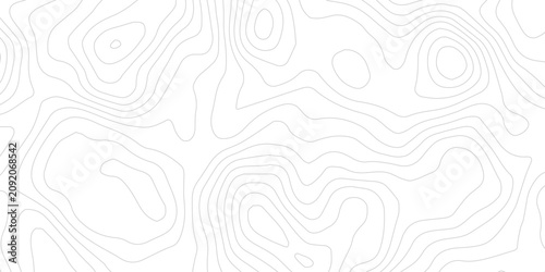 Foto Seamless White Topographic Background with Complex Network of Soft Gray Contour