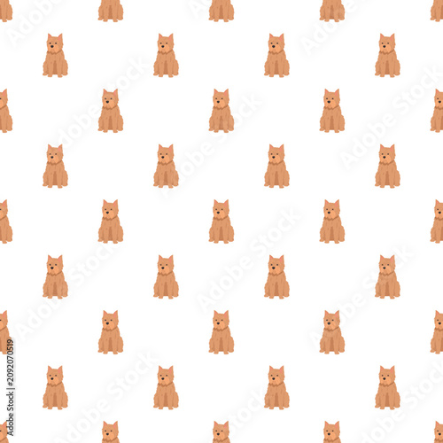 Schilderij op canvas Cute australian terrier dogs creating a repetitive seamless pattern on a white b