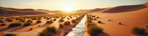 Straight water channel running through a golden desert landscape. Green tufts of grass growing along an irrigation canal in arid sand dunes under warm sunlight. Oasis and drought survival concept