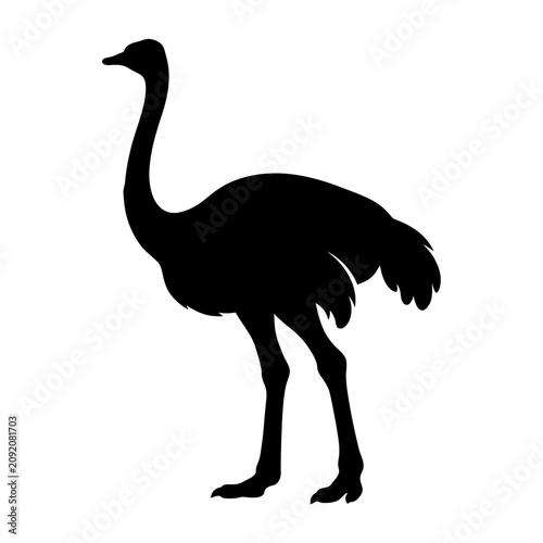 Obraz na płótnie Ostrich silhouette, black bird, large flightless animal, wildlife icon isolated
