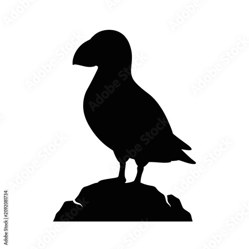 Bild auf Leinwand Puffin silhouette, black bird icon, animal symbol, wildlife graphic isolated on