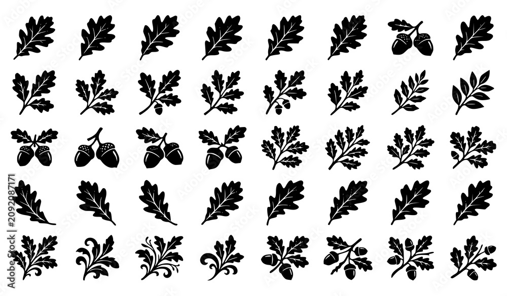 Fototapeta premium Autumn Oak Leaves and Acorns Silhouette Vector Bundle with Botanical Forest Elements