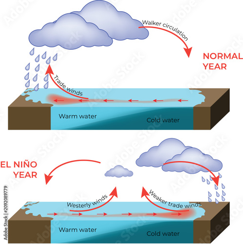 Schilderij op canvas El Niño vs Normal-Year Ocean Circulation Diagram with Trade Winds, Walker Circulation, and Sea Surface Temperature Vector Illustration