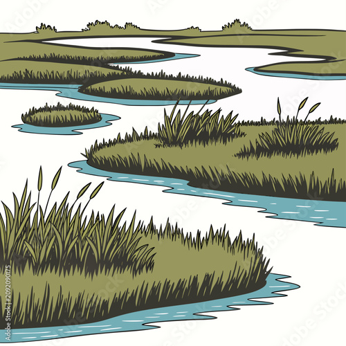 A close up of a winding river stream flowing through green marshland with tall reeds and grasses growing along the muddy banks area