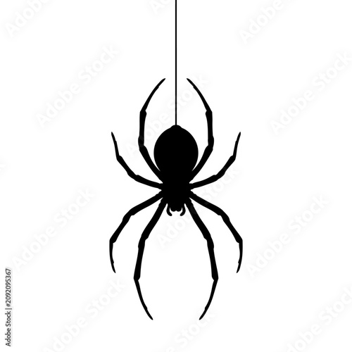 Φωτογραφία Black spider silhouette, hanging spider icon, creepy crawly insect, vector graph