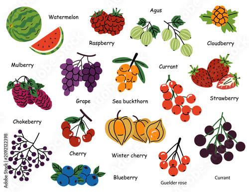 Vector set of seasonal berries with names in English drawn in doodle style.Cherry, watermelon, gooseberry,blackberry,strawberry, cloudberry,sea buckthorn,chokeberry,raspberry,blueberry