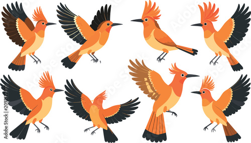 Tableau sur toile Majestic Eurasian hoopoe bird cartoon vector character set featuring orange songbirds spreading wings and flying in different poses, isolated wildlife graphic elements for nature logo design