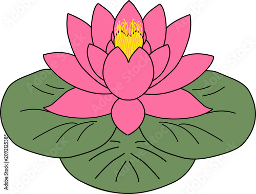 Fotografía Pink and Yellow Water Lily Flower Illustration on Green Leaves with Hand-Drawn S