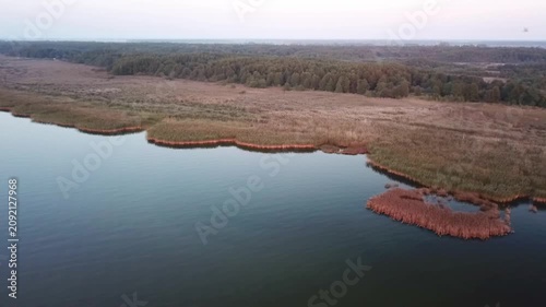 The shore of the Curonian Lagoon, reed, forest and flying birds, high lateral drone clip, Lithuania
