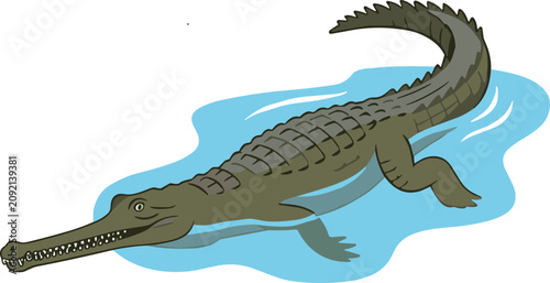 Cuadro en lienzo Gharial Crocodile Vector Illustration Featuring Critically Endangered Indian Sno