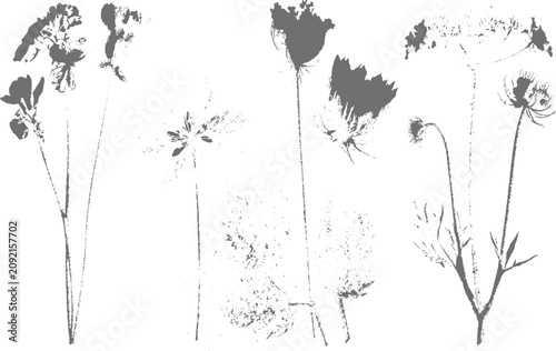 Abstract vector flowers and leaves ink brush illustration
Hand drawn floral splash grunge print vector set