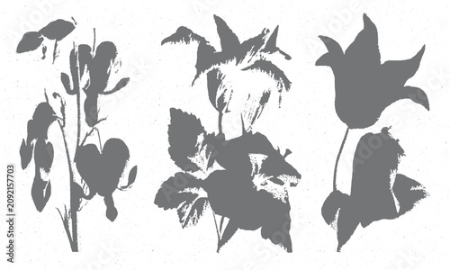 Abstract vector flowers and leaves ink brush illustration
Hand drawn floral splash grunge print vector set