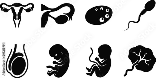 Tableau sur toile Human Reproductive System and Embryo Development Silhouette Icons Set with Ferti