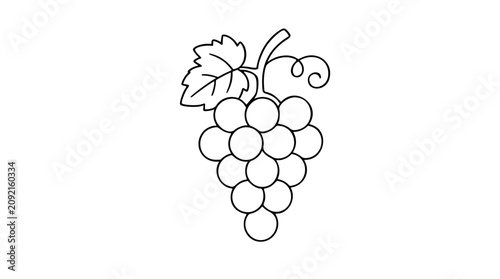 Fotografía A clean black and white line art vector icon featuring an elegant cluster of grapes on the vine, suited for wine labels, vineyard promotional materials, or fruit category navigation buttons