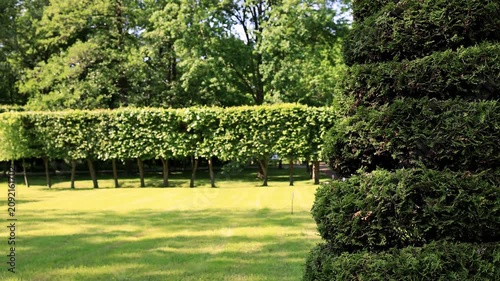 A green, well-kept summer park.