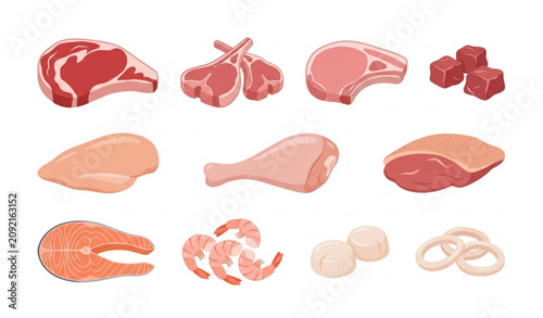 Premium different meat varieties food vector illustration collection