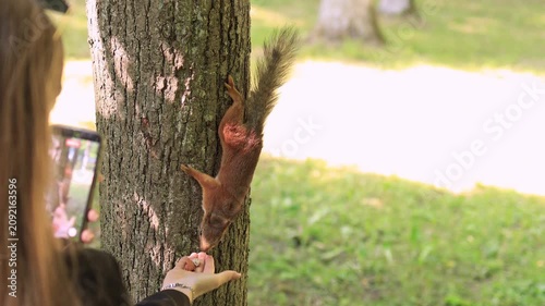 People are feeding a squirrel in the forest.
