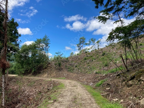 road to the mountains
