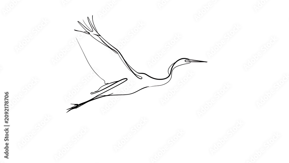 Obraz premium Minimalist crane bird drawing white background.