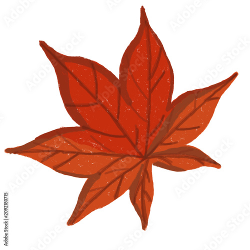Hand Drawn Red Japanese Maple Leaf Autumn Botanical Illustration Isolated on White